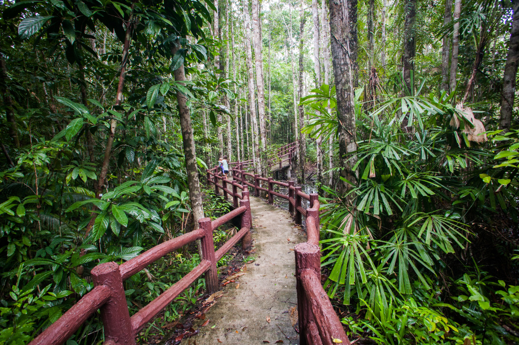 Path to the Emerald Pool, Krabi